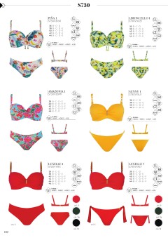 Catalog p242